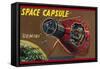 Space Capsule Gemini-null-Framed Stretched Canvas