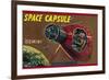 Space Capsule Gemini-null-Framed Art Print