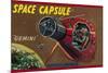 Space Capsule Gemini-null-Mounted Art Print