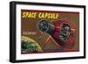 Space Capsule Gemini-null-Framed Premium Giclee Print