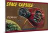 Space Capsule Gemini-null-Mounted Premium Giclee Print