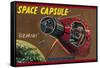 Space Capsule Gemini-null-Framed Stretched Canvas