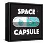 Space Capsule-IFLScience-Framed Stretched Canvas