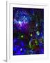 Space Gypsies-MusicDreamerArt-Framed Giclee Print