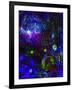 Space Gypsies-MusicDreamerArt-Framed Giclee Print