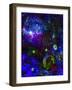 Space Gypsies-MusicDreamerArt-Framed Giclee Print