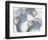 Space Inside II-Eva Watts-Framed Art Print