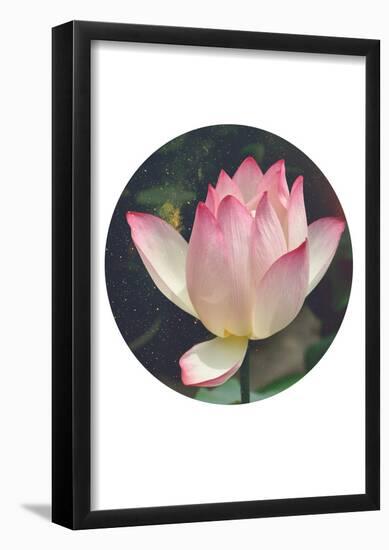 Space Lotus-null-Framed Poster