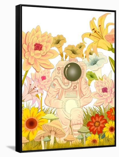 Space Meadow-null-Framed Stretched Canvas