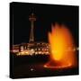 Space Needle and Fountain at Night-null-Stretched Canvas