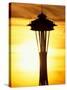 Space Needle at Sunset, Seattle, Washington, USA-Paul Souders-Stretched Canvas