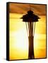 Space Needle at Sunset, Seattle, Washington, USA-Paul Souders-Framed Stretched Canvas