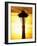 Space Needle at Sunset, Seattle, Washington, USA-Paul Souders-Framed Photographic Print