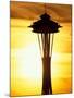 Space Needle at Sunset, Seattle, Washington, USA-Paul Souders-Mounted Photographic Print