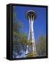 Space Needle, Seattle Center, Seattle, Washington State, United States of America, North America-Richard Cummins-Framed Stretched Canvas