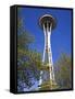 Space Needle, Seattle Center, Seattle, Washington State, United States of America, North America-Richard Cummins-Framed Stretched Canvas