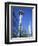 Space Needle, Seattle, Washington State, USA-J Lightfoot-Framed Photographic Print