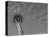 Space Needle, Seattle, Washington, USA-Savanah Stewart-Stretched Canvas