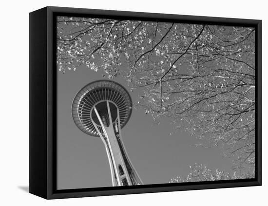 Space Needle, Seattle, Washington, USA-Savanah Stewart-Framed Stretched Canvas