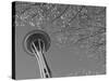 Space Needle, Seattle, Washington, USA-Savanah Stewart-Stretched Canvas
