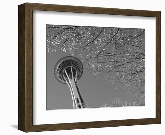 Space Needle, Seattle, Washington, USA-Savanah Stewart-Framed Photographic Print