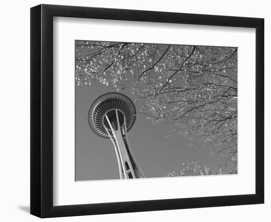 Space Needle, Seattle, Washington, USA-Savanah Stewart-Framed Photographic Print