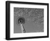 Space Needle, Seattle, Washington, USA-Savanah Stewart-Framed Photographic Print