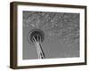 Space Needle, Seattle, Washington, USA-Savanah Stewart-Framed Photographic Print