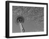 Space Needle, Seattle, Washington, USA-Savanah Stewart-Framed Photographic Print