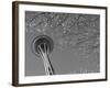 Space Needle, Seattle, Washington, USA-Savanah Stewart-Framed Photographic Print