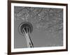 Space Needle, Seattle, Washington, USA-Savanah Stewart-Framed Photographic Print