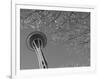 Space Needle, Seattle, Washington, USA-Savanah Stewart-Framed Photographic Print