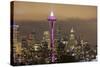 Space Needle, Seattle, Washington, USA-Jamie & Judy Wild-Stretched Canvas