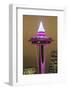 Space Needle, Seattle, Washington, USA-Jamie & Judy Wild-Framed Photographic Print