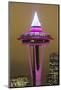 Space Needle, Seattle, Washington, USA-Jamie & Judy Wild-Mounted Photographic Print