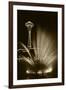 Space Needle Tower with Fountain, Seattle, Washington, USA-Paul Souders-Framed Photographic Print