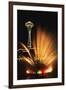 Space Needle Tower with Fountain, Seattle, Washington, USA-Paul Souders-Framed Photographic Print