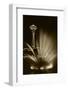 Space Needle Tower with Fountain, Seattle, Washington, USA-Paul Souders-Framed Photographic Print