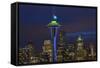 Space Needle with Seahawk colors and 12th man flag. Washington, USA-Jamie & Judy Wild-Framed Stretched Canvas