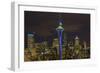 Space Needle with Seahawk colors and 12th man flag. Washington, USA-Jamie & Judy Wild-Framed Photographic Print