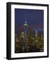 Space Needle with Seahawk colors and 12th man flag. Washington, USA-Jamie & Judy Wild-Framed Photographic Print