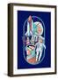 Space Queens Collection - Women in Space-Lantern Press-Framed Art Print