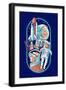 Space Queens Collection - Women in Space-Lantern Press-Framed Art Print