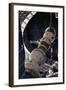 Space Rocket Model-null-Framed Photographic Print