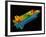 Space shuttle aerodynamics-Science Source-Framed Giclee Print