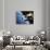 Space Shuttle and Earth-David Bases-Premium Photographic Print displayed on a wall