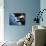 Space Shuttle and Earth-David Bases-Mounted Photographic Print displayed on a wall