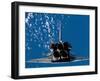 Space Shuttle Atlantis' Aft Portions as Seen from the International Space Station, June 10, 2007-Stocktrek Images-Framed Photographic Print