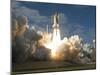 Space Shuttle Atlantis Lifts Off from its Launch Pad at Kennedy Space Center, Florida-null-Mounted Premium Photographic Print