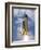 Space Shuttle Atlantis Lifts Off from its Launch Pad at Kennedy Space Center, Florida-null-Framed Photographic Print